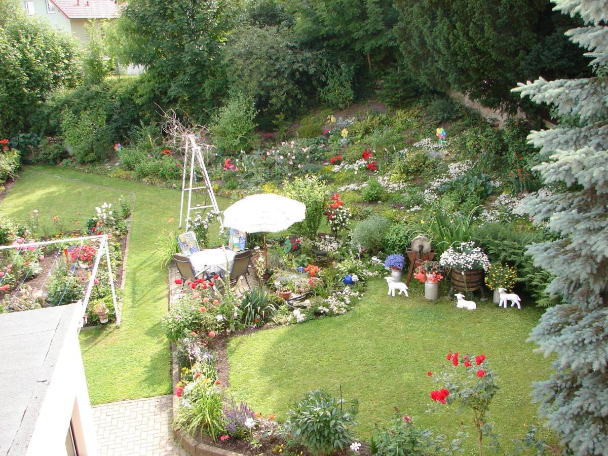 Abendroete Appartement Wernigerode Buitenkant foto